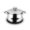 Olla inoxidable silverinox + tapa acero inoxidable 18/10 fagor ø20x13cm